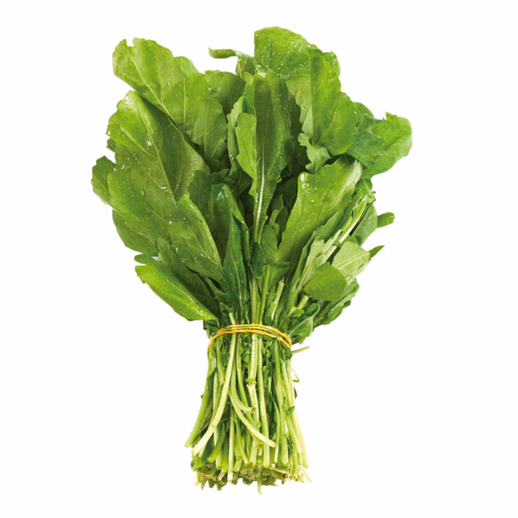 جرجير  طازج ربطة